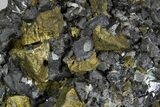 Brassy Chalcopyrite w/ Sphalerite and Galena - Bulgaria #330479-1